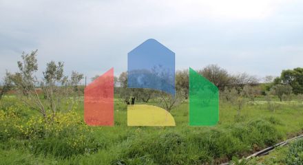 Продаж - Земельна ділянка 3000 m² в Халкидіках
