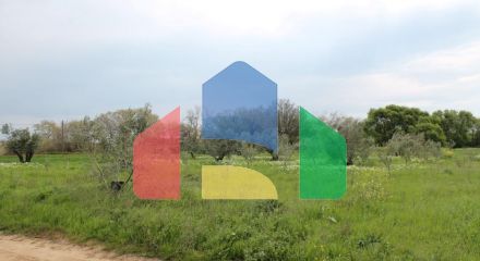Продаж - Земельна ділянка 3000 m² в Халкидіках