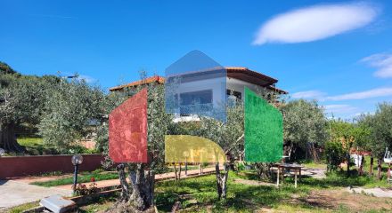 Продажа - Коттедж 240 m² в Халкидиках Продажа - Коттедж 240 m² в Халкидиках