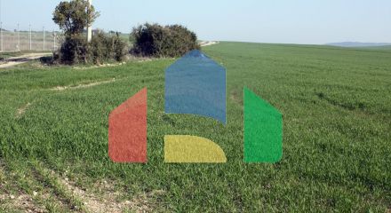 Продаж - Земельна ділянка в Халкидіках