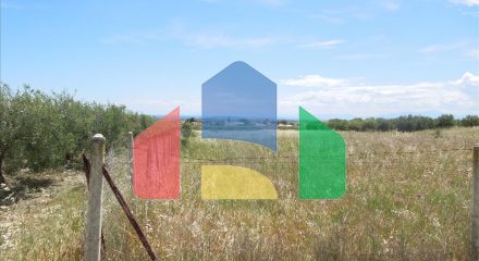For Sale - Land 6600 m² in Chalkidiki