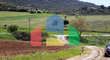 For Sale - Land 5576 m² in Chalkidiki