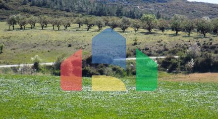 For Sale - Land 5576 m² in Chalkidiki