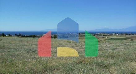 For Sale - Land 10262 m² in Chalkidiki