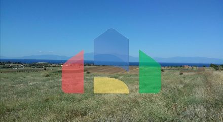 For Sale - Land 10262 m² in Chalkidiki