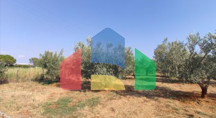 For Sale - Land 2200 m² in Chalkidiki
