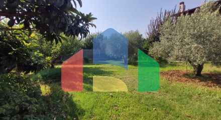 Продажа - Коттедж 100 m² в Халкидиках Продажа - Коттедж 100 m² в Халкидиках