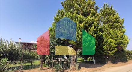 Продажа - Коттедж 100 m² в Халкидиках Продажа - Коттедж 100 m² в Халкидиках