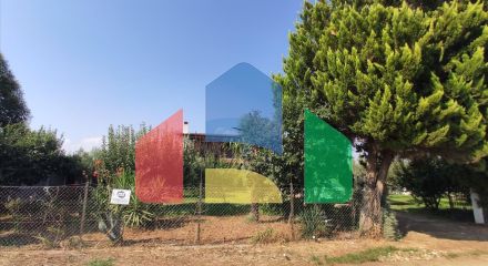 Продажа - Коттедж 100 m² в Халкидиках Продажа - Коттедж 100 m² в Халкидиках