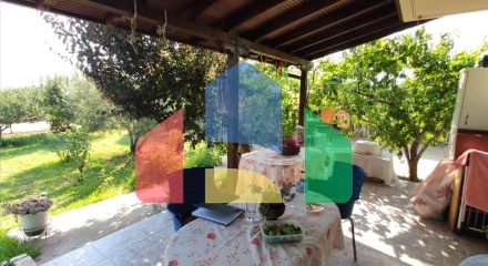 Продажа - Коттедж 100 m² в Халкидиках Продажа - Коттедж 100 m² в Халкидиках