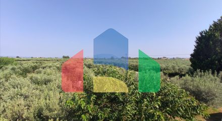 Продажа - Коттедж 100 m² в Халкидиках Продажа - Коттедж 100 m² в Халкидиках