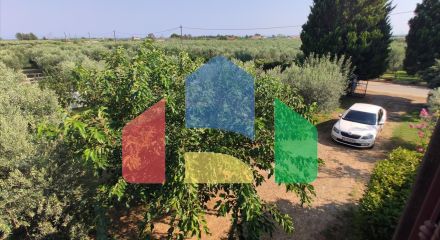 Продажа - Коттедж 100 m² в Халкидиках Продажа - Коттедж 100 m² в Халкидиках