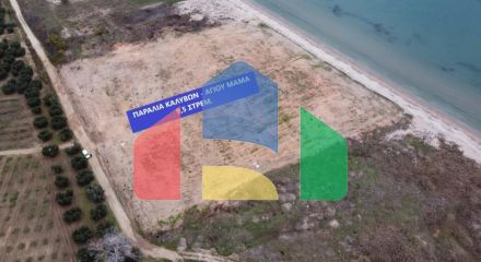 Продаж - Земельна ділянка 9500 m² в Халкидіках