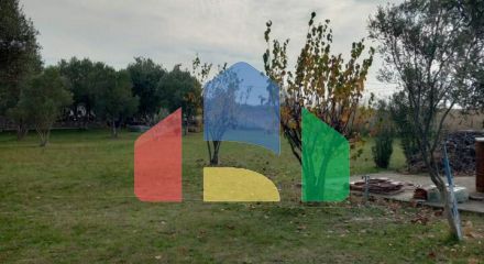 Продажа - Земельный участок 2025 m² в Халкидиках