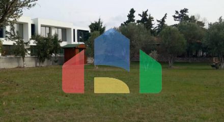 Продажа - Земельный участок 2025 m² в Халкидиках