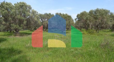 For Sale - Land 3050 m² in Chalkidiki