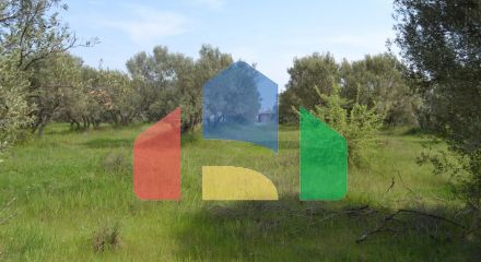 For Sale - Land 3050 m² in Chalkidiki
