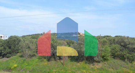 For Sale - Land 3050 m² in Chalkidiki