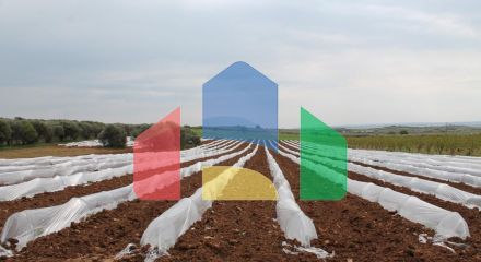 Продаж - Земельна ділянка 5700 m² в Халкидіках
