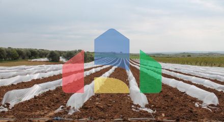 Продаж - Земельна ділянка 5700 m² в Халкидіках