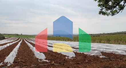 Продаж - Земельна ділянка 5700 m² в Халкидіках