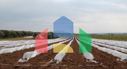 Продаж - Земельна ділянка 5700 m² в Халкидіках