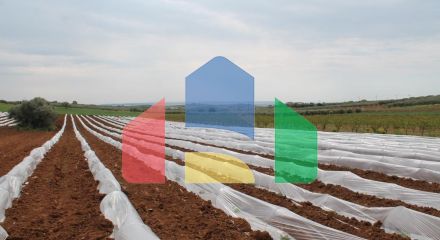 Продаж - Земельна ділянка 5700 m² в Халкидіках