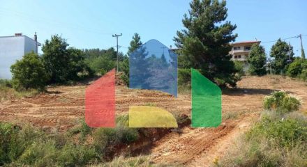 For Sale - Land 500 m² in Chalkidiki