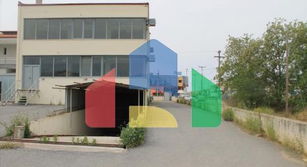Продаж - Бізнес 1072 m² в Халкидіках