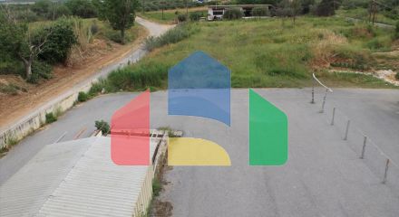 Продажа - Бизнес 1072 m² в Халкидиках Продажа - Бизнес 1072 m² в Халкидиках