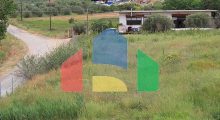 Продажа - Бизнес 1072 m² в Халкидиках Продажа - Бизнес 1072 m² в Халкидиках