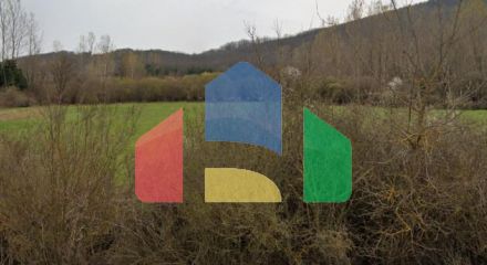 Продажа - Земельный участок 10000 m² в Халкидиках