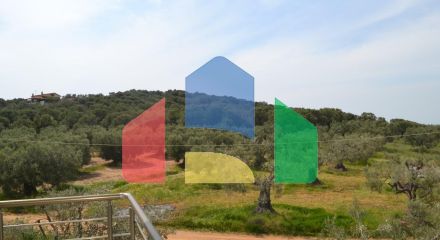 Продаж - Бізнес 400 m² в Халкидіках Продаж - Бізнес 400 m² в Халкидіках