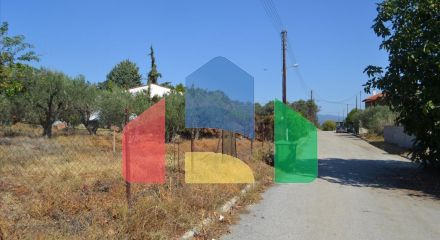 For Sale - Land 740 m² in Chalkidiki
