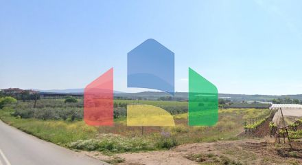 Продаж - Земельна ділянка 6115 m² в Халкидіках