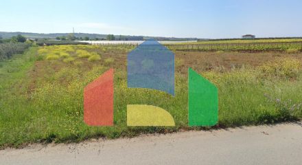 Продаж - Земельна ділянка 6115 m² в Халкидіках