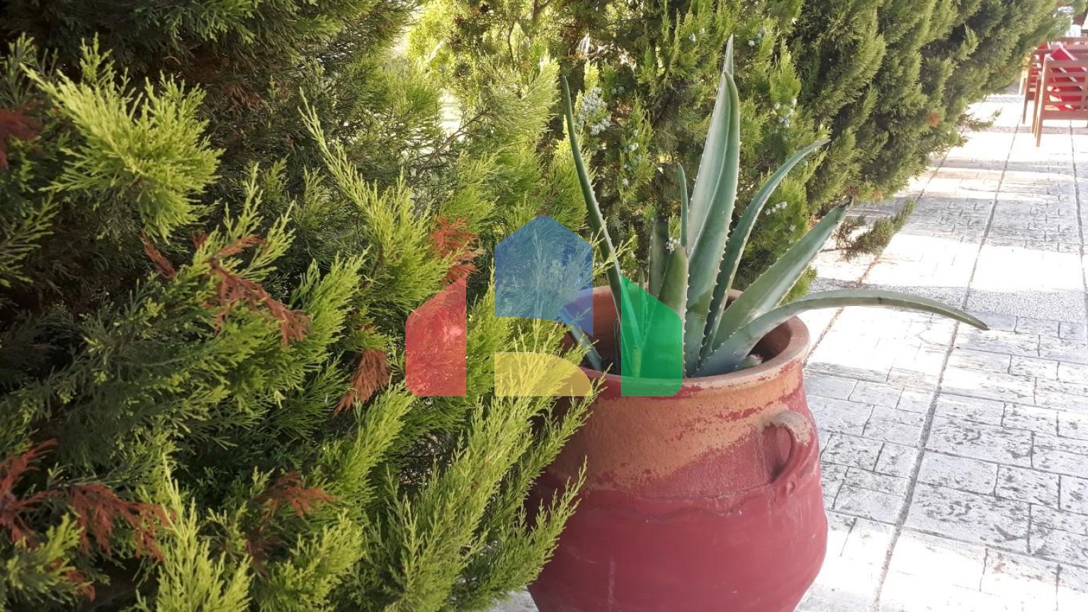 Продаж - Котедж 250 m² в Халкидіках