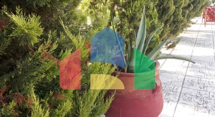 Продаж - Котедж 250 m² в Халкидіках