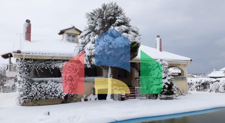 Продаж - Котедж 250 m² в Халкидіках