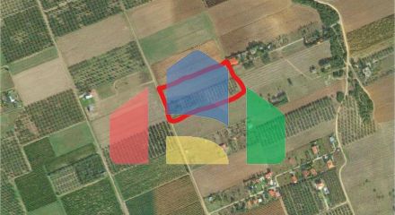 For Sale - Land 8750 m² in Chalkidiki