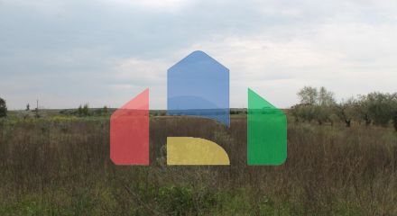 Продаж - Земельна ділянка 3600 m² в Халкидіках