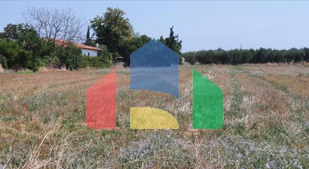 For Sale - Land 4551 m² in Chalkidiki