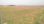 For Sale - Land 4098 m² in Chalkidiki