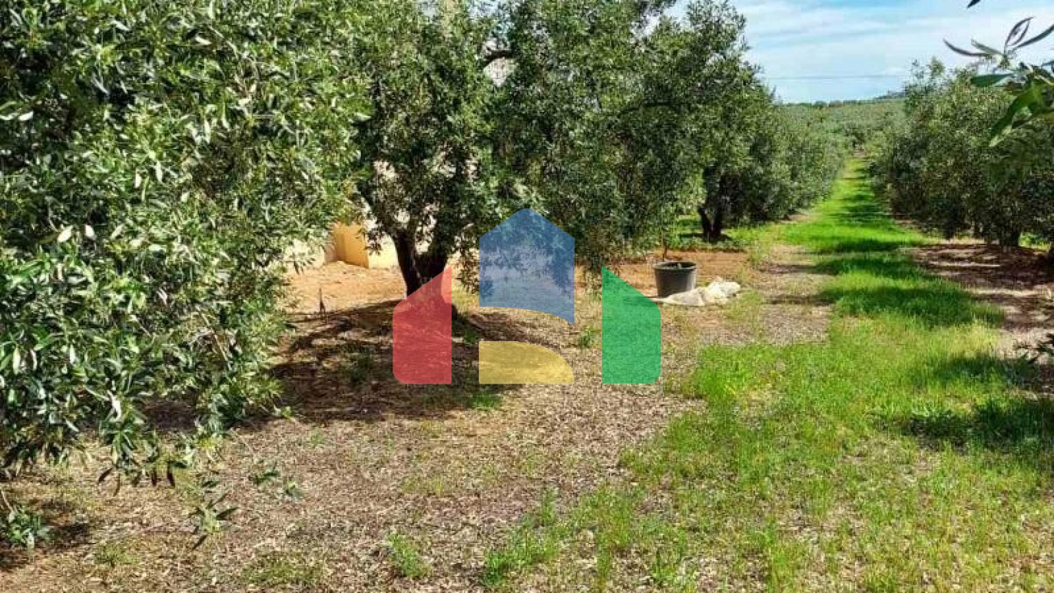 Продажа - Коттедж 150 m² в Халкидиках