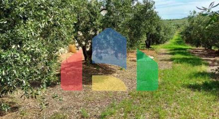 Продажа - Коттедж 150 m² в Халкидиках