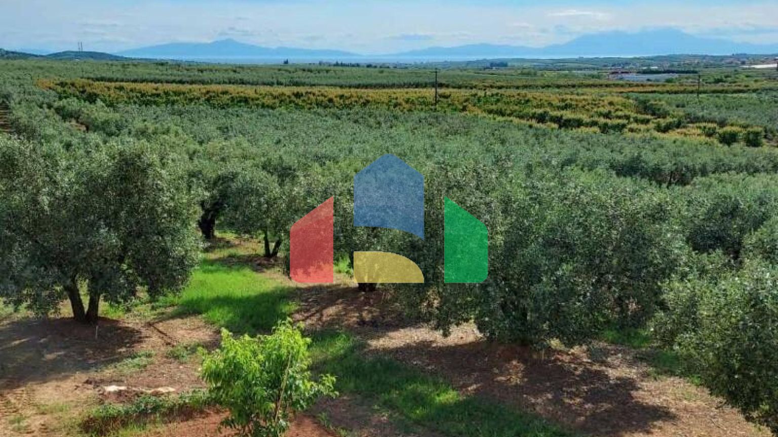 Продажа - Коттедж 150 m² в Халкидиках