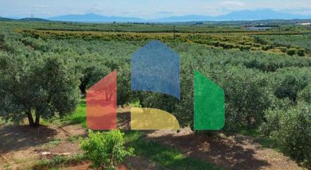 Продажа - Коттедж 150 m² в Халкидиках