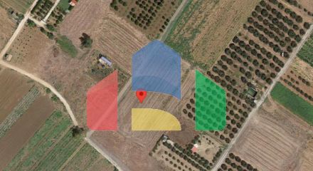 For Sale - Land 2500 m² in Chalkidiki