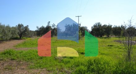For Sale - Land 1100 m² in Chalkidiki