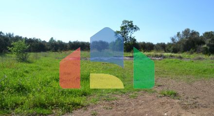 For Sale - Land 1100 m² in Chalkidiki
